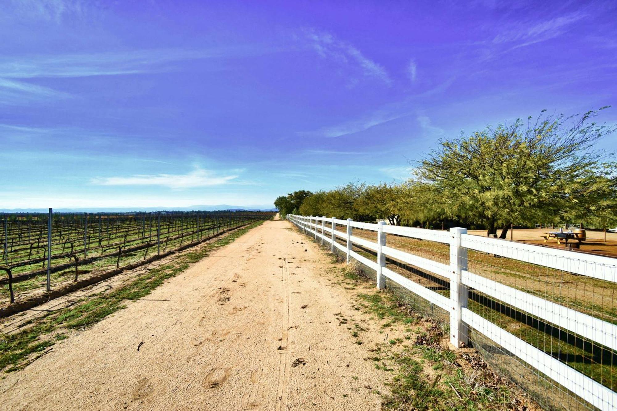 Peppertree Lane Ranch -- Seven-Acre Ranch In The Heart Of Wine Country Hotel Temecula Exterior photo